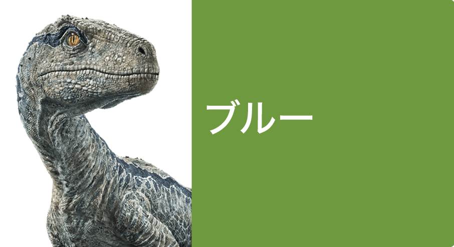 ブルー