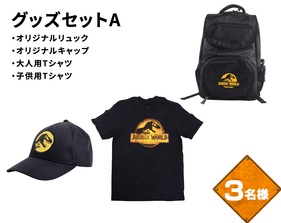 グッズセットA ・オリジナルリュック ・オリジナルキャップ ・大人用Tシャツ ・子供用Tシャツ 3名様