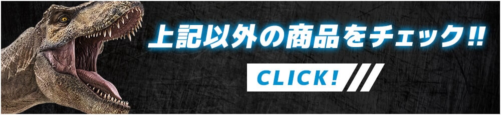 上記以外の商品をチェック‼ CLICK!